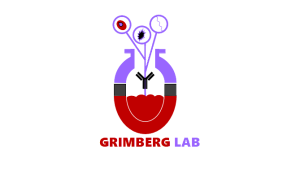 grimberg-lab-3
